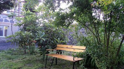 ვაიოლეტი_3